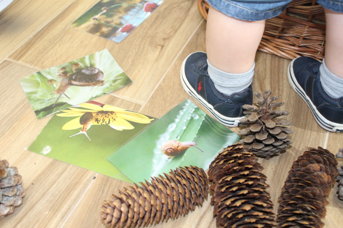 Los más pequeños comienzan proyecto: hormiguitas, caracoles y tortugas