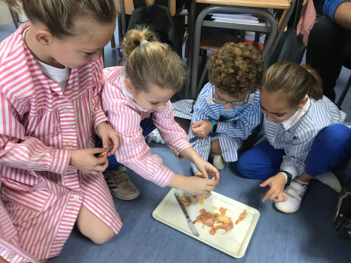 Inspeccionem una pata de pollastre