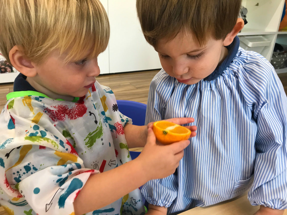 9F7BB450-2C44-4D6C-AAA6-8F48BD0CAE24 Descobrim fruites de la tardor!