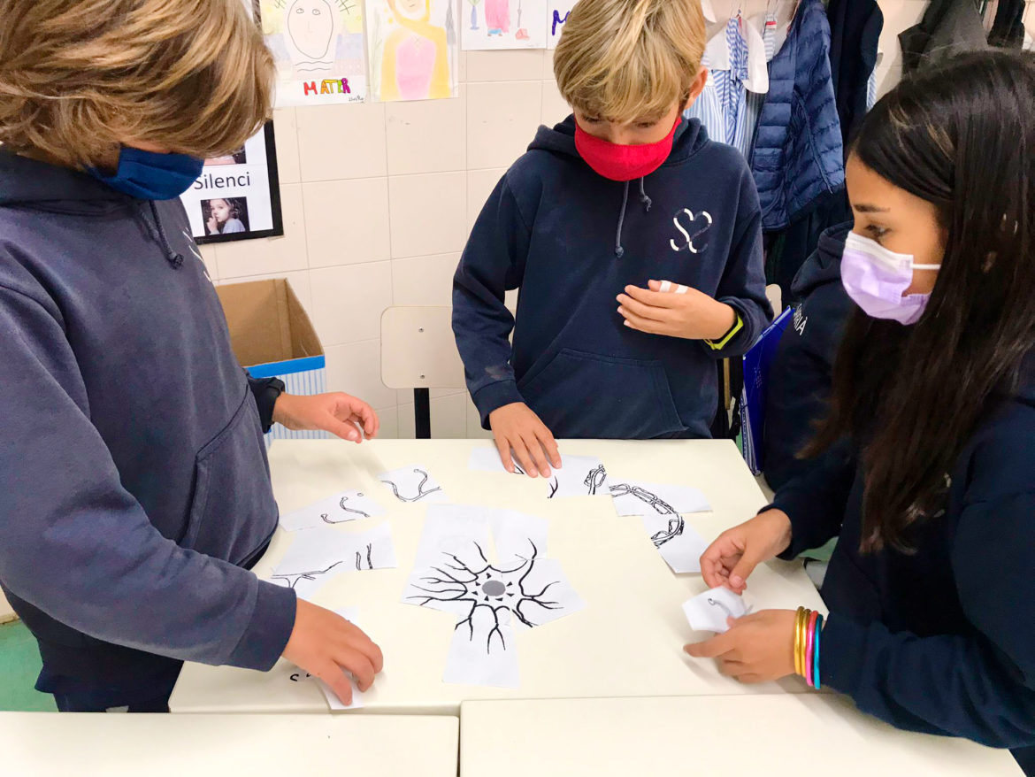 Un nou projecte per connectar-se