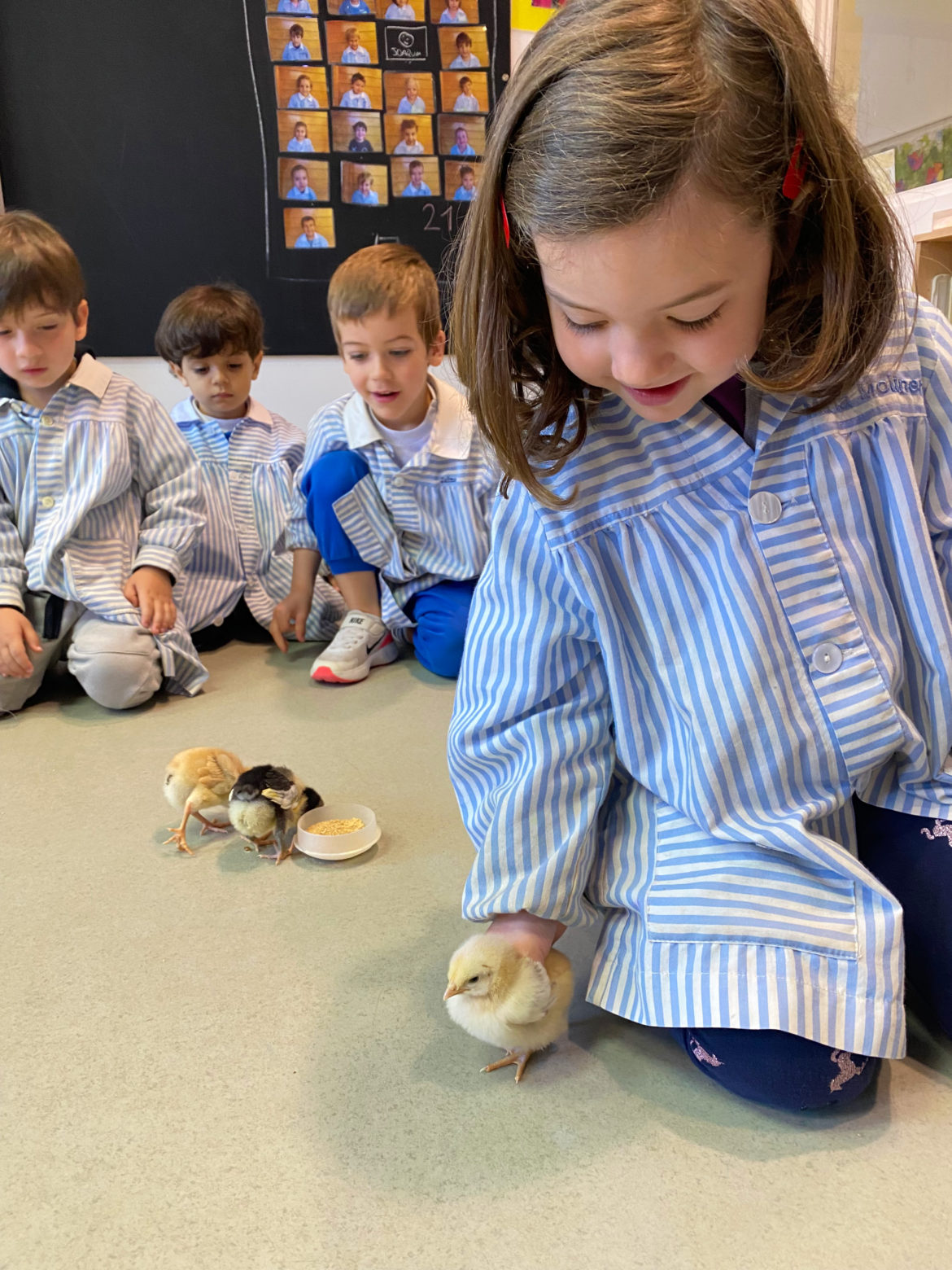 Projecte ‘La Masia d’en Jepet’